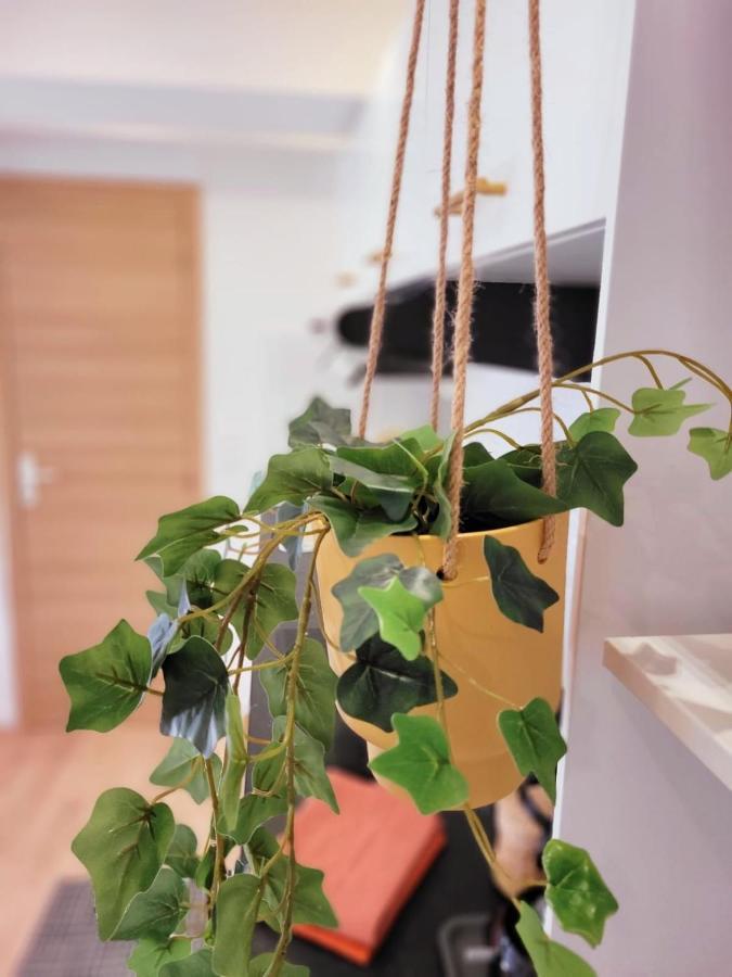 Appartement Cocooning Proche Mer Carqueiranne Exterior foto